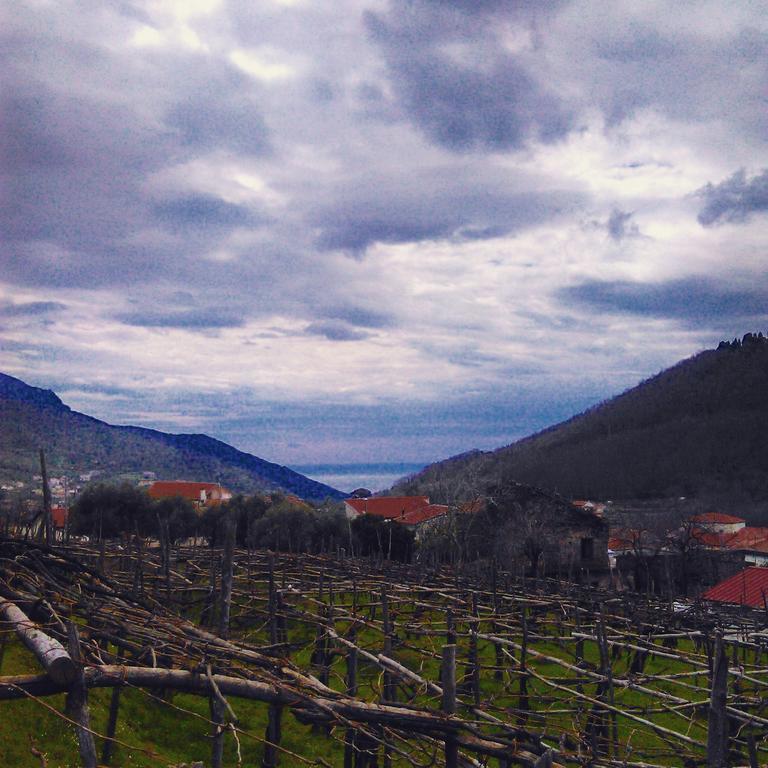 Agriturismo Mare E Monti Tramonti Eksteriør bilde