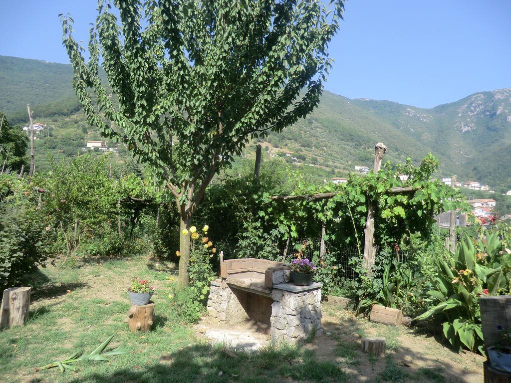 Agriturismo Mare E Monti Tramonti Eksteriør bilde