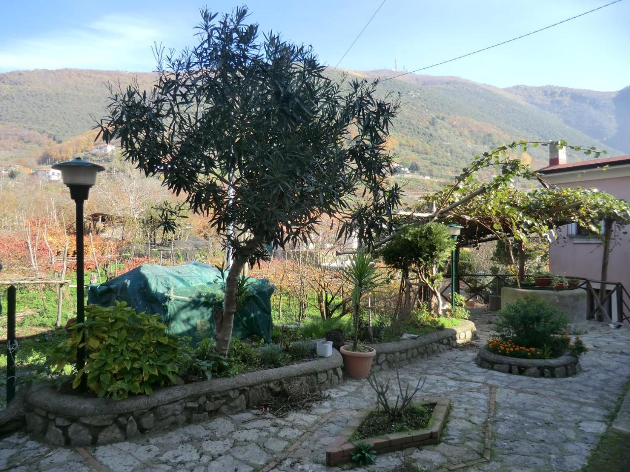 Agriturismo Mare E Monti Tramonti Eksteriør bilde